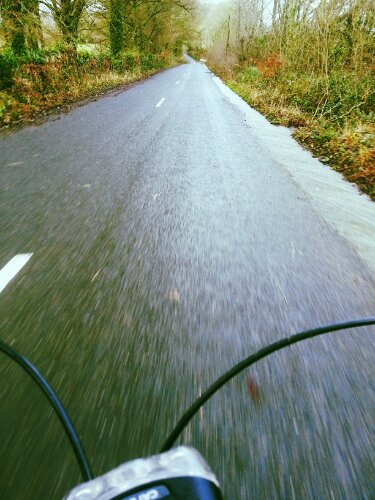 11837154476_beb3df6b9f_o.jpg image