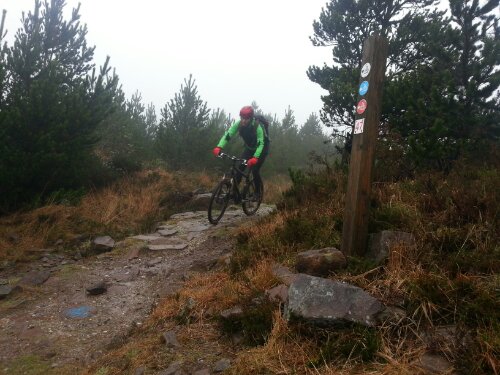 20140101_130105.jpg image